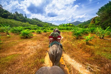 People on the elephant trekking ride in Khao Sok National Parkのeditorial素材