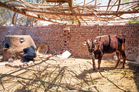 Arabic woman baking bread in the bedouin village near Luxorの写真素材
