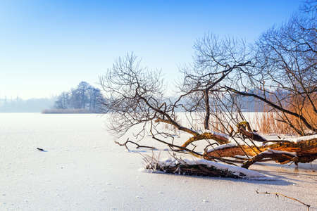 Winter scenery of frozen lake in Polandの写真素材