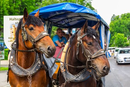 Tourists on a horse-drawn carriage at the Neuschwanstein Castle in Hohenschwangau, Germanyの写真素材