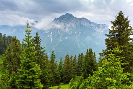 Arrayの写真素材