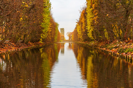 Pond in the autumnal park of Gdansk, Polandの写真素材