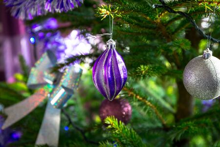 Beautiful purple and silver baubles on Christmas treeの写真素材