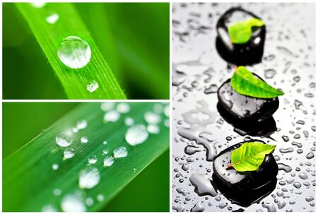 Collage of spa stones and drops of dew on the grassの写真素材