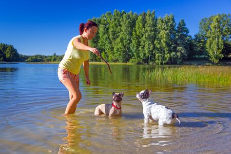 Woman throwing stick for two french bulldogs at the lakeの写真素材