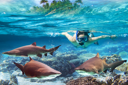 Woman snorkeling in the tropical water with dangerous bull sharksの写真素材