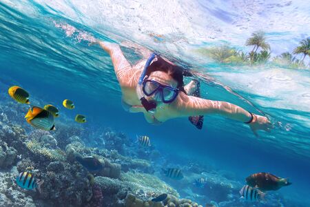 Woman snorkeling in the tropical waterの写真素材