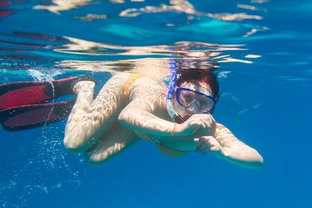 Woman snorkeling in the tropical waterの写真素材