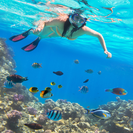 Woman snorkeling in the tropical waterの写真素材
