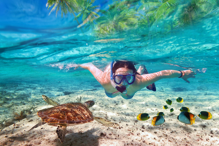 Woman snorkeling in the tropical waterの写真素材