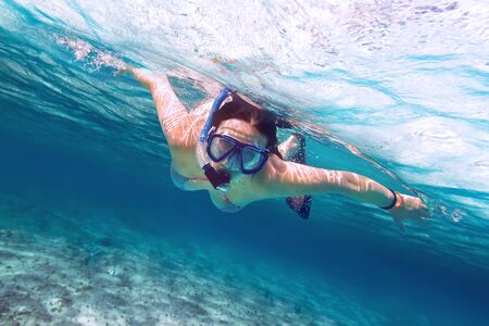 Woman snorkeling in the tropical waterの写真素材