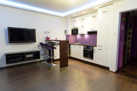 Modern living room with kitchen interiorの写真素材