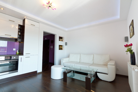 Modern living room interior with kitchenの写真素材