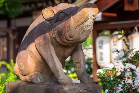 Statue of wild boar guardian at japanese temple in Kyotoの写真素材