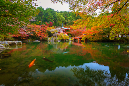 Daigo-ji temple with colorful maple trees in autumn, Kyoto, Japanのeditorial素材