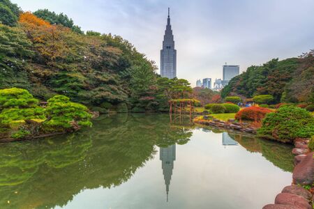 Autumn in the Shinjuku Park, Tokyo, Japanのeditorial素材