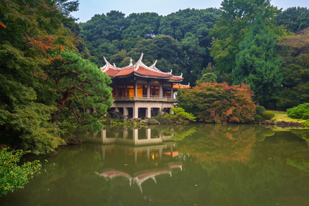 Autumn in the Shinjuku Park, Tokyo, Japanのeditorial素材