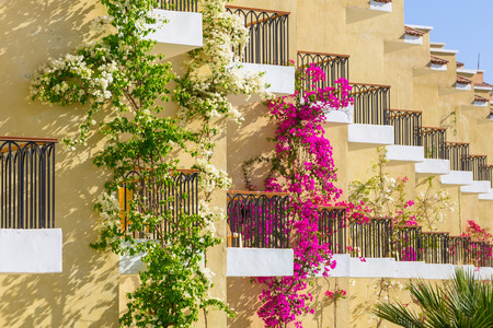 Hurghada, Egypt - April 6, 2013: Tropical resort Three Corners Sunny Beach in Hurghada. Three Corners is Belgian company with 11 hotels at Red Sea in Egypt and one in Budapest, Hungary.のeditorial素材