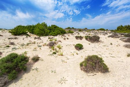 Elafonissi beach with pink sand on Crete, Greeceの写真素材