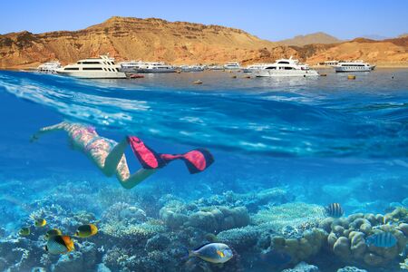 Young woman at snorkeling in the tropical water of Red Sea, Egyptの写真素材