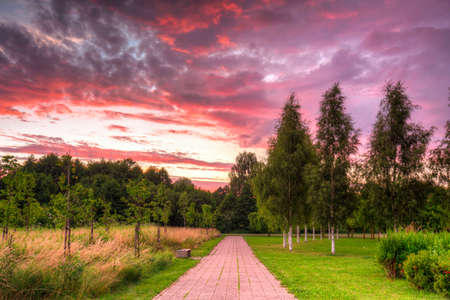 Beautiful sunset over the public park in Pruszcz Gdanski, Poland.の写真素材