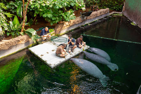 Wroclaw, Poland - September 7, 2020: Building of the Africarium in the zoo of Wroclaw city, Poland.のeditorial素材