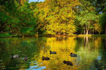 Beautiful scenery of the autumnal park in Gdansk. Polandの写真素材
