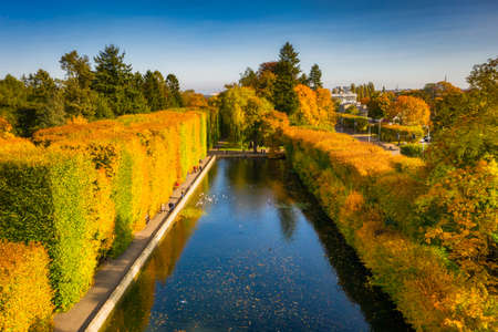 Beautiful scenery of the autumnal park in Gdansk Oliwa. Polandの写真素材