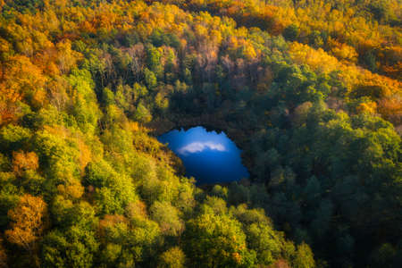 Small pond in the autumnal forest, Polandの写真素材