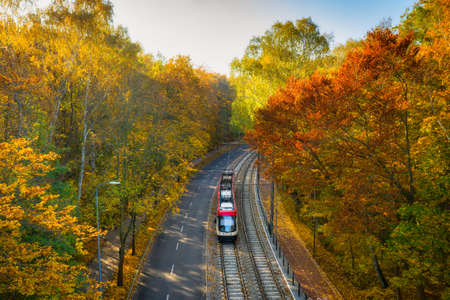 A tram in the autumn scenery of a forest in GdaÅsk. Polandの写真素材
