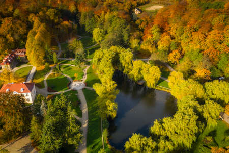 Beautiful autumn in the park of Gdansk Orunia. Polandの写真素材