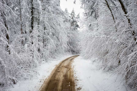 Aerial view of the road in idyllic winter landscape. Polandの写真素材