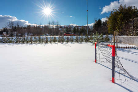 Beautiful winter garden covered with fresh snow. Polandの写真素材