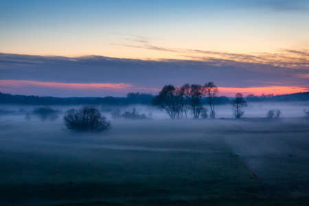 Misty meadow at sunset in Polandの写真素材