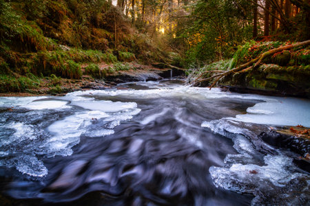 Frozen creek of Clare Glens in Co. Tipperary at winter, Irelandの写真素材