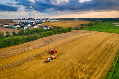 Beautiful scenery of fields during harvest in northern Polandの写真素材