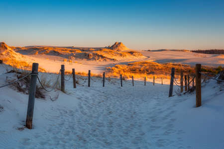 Beautiful scenery of sand dunes in the Slowinski National Park at sunset, Leba. Polandの写真素材