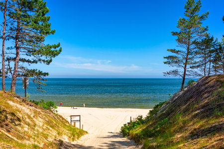 Landscape of the summer beach of the Baltic Sea in Sztutowo, Polandの写真素材