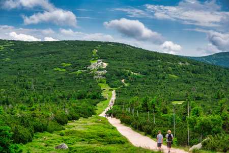 Summer scenery of the trail on Mount Szrenica in the Karkonosze Mountains, Poland.の写真素材