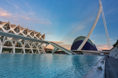 Valencia, Spain - January 19, 2023: Amazing architecture of the City of Arts and Sciences at sunset in Valencia. Spainのeditorial素材