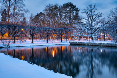 Winter scenery in snowy public park in Gdansk Oliwa, Polandの写真素材