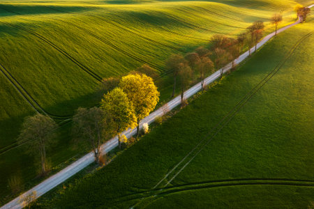 Aerial landscape of the green fields in northern Poland at spring time.の写真素材