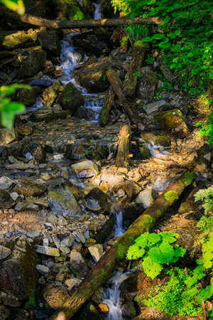 Cascades of mountain creek in Tatra National Park, Polandの写真素材