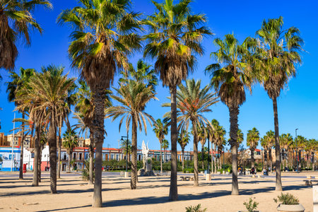 Beautiful promenade at the Playa de las Arenas beach of Valencia, Spainの写真素材