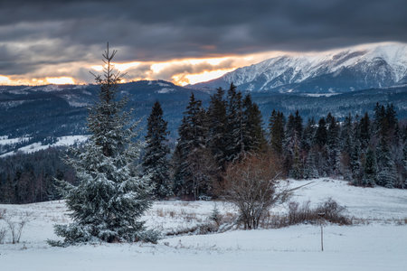Winter landscape of Tatra Mountains at sunrise. Polandの写真素材