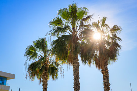 Beautiful scenery of the Playa de las Arenas beach of Valencia, Spainの写真素材