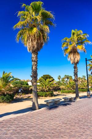Beautiful promenade at the Playa de las Arenas beach of Valencia, Spainの写真素材