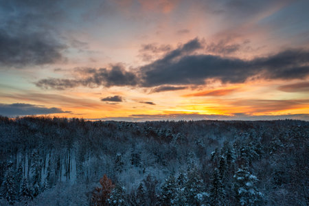 Beautiful winter landscape of the forest area in Kashubia, Polandの写真素材