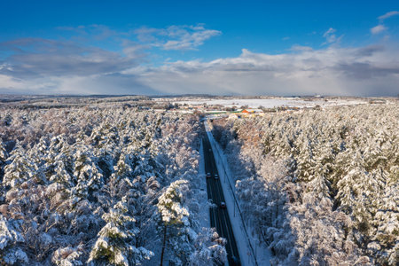 Aerial landscape of the road through snowy forest at winter, Poland.の写真素材