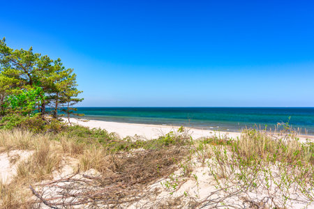 Beautiful beach on the Baltic Sea in summer, Polandの写真素材